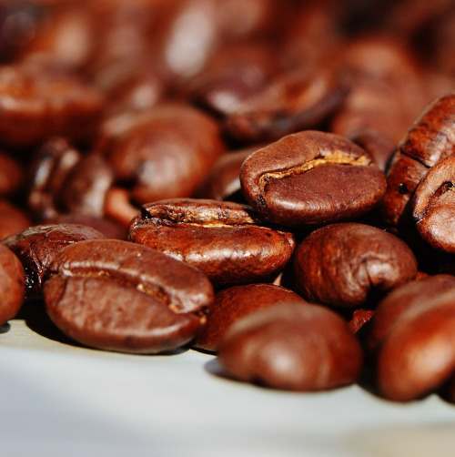 coffee beans